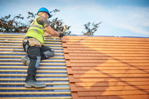 Best Solar Panel Roofing Installation  in Republic, MO